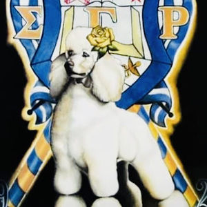 Meet your Posher, Carmen